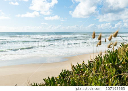 Sao Pedro de Maceda beach 107193663