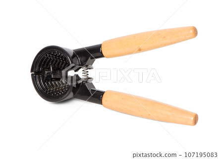 Nutcracker isolated on white Nutcracker isolated on white 107195083