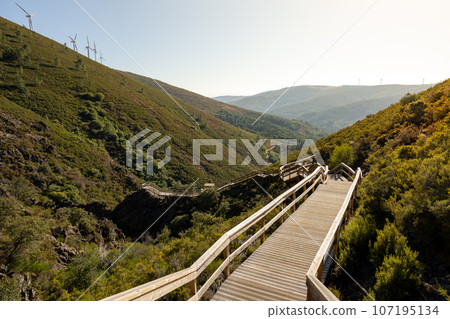 Walkways of Ribeira de Quelhas Walkways of Ribeira de Quelhas 107195134
