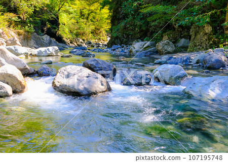 青海川翡翠峽 4 青海川翡翠峽 4 107195748
