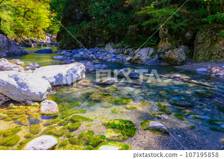 Hashidate Jade Gorge 4 107195858