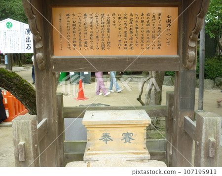 Masago of Oshioi Beach in Hakozaki Shrine Masago of Oshioi Beach in Hakozaki Shrine 107195911