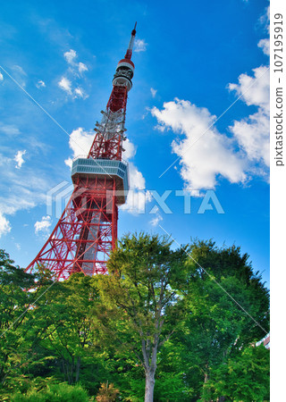 陽光明媚的夏日藍天和東京鐵塔風景 107195919