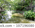 Omihachiman waterways and boats 107196080
