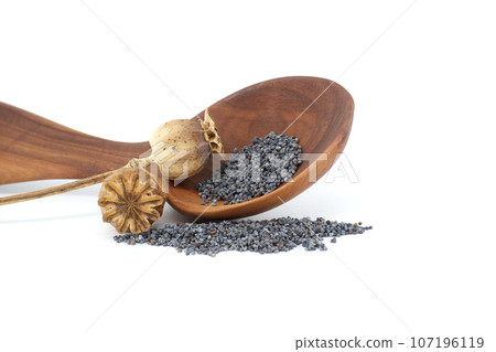 Heap of poppy seeds and dried pod isolated on white Heap of poppy seeds and dried pod isolated on white 107196119
