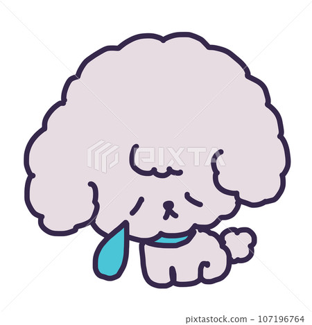 一隻可愛的玩具貴賓犬因為悲傷而哭泣而哭泣的插圖 一隻可愛的玩具貴賓犬因為悲傷而哭泣而哭泣的插圖 107196764