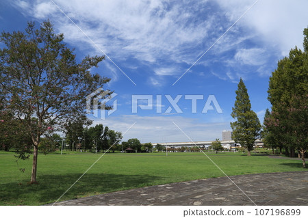 Looking towards Mt. Tsukuba where TX runs from Kenkyugakuen Ekimae Park 107196899
