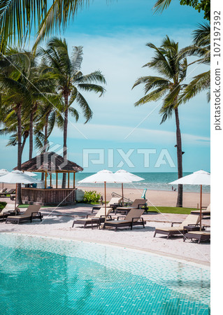beach chair around swimming pool in hotel resort beach chair around swimming pool in hotel resort 107197392