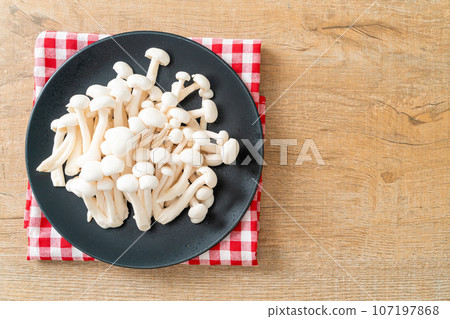white beech mushroom or white reishi mushroom 107197868