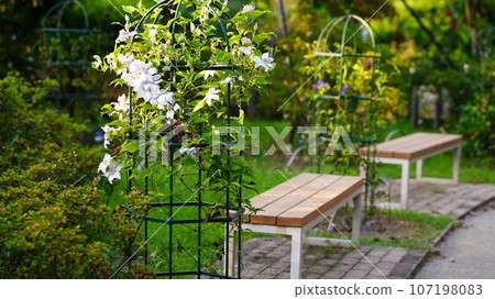 White flowers and wood-grained chairs create a Japanese atmosphere. 107198083