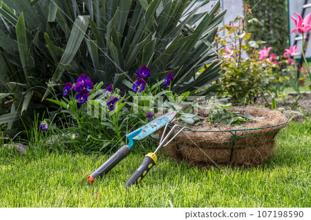 Garden Garden 107198590
