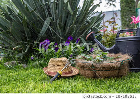 Garden Garden 107198615