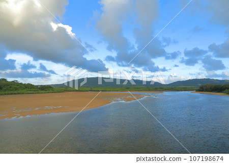 Landscape of vast tidal flats and mangrove forest in Nagura Ambar, Ishigaki Island Landscape of vast tidal flats and mangrove forest in Nagura Ambar, Ishigaki Island 107198674