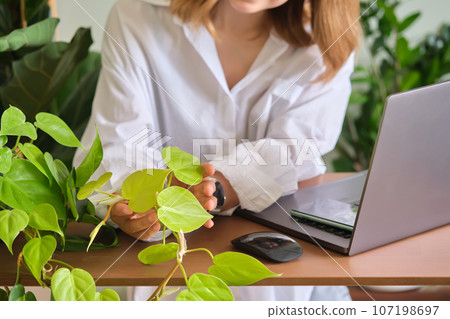Women's hands at a laptop against a background of greenery. 107198697