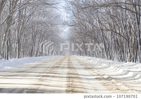 Winter road Winter road 107198701