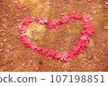 Heart made from maple leaves 107198851