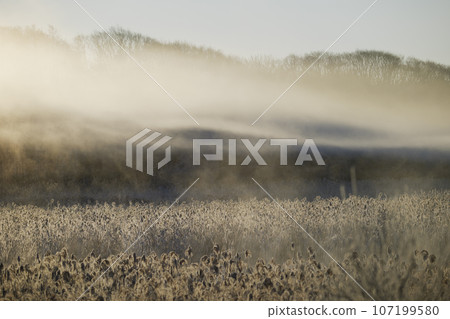 暴風雨在清晨的陽光下閃閃發光 107199580