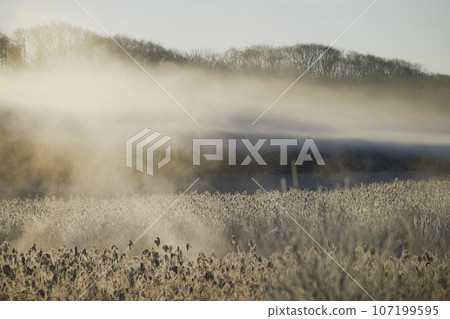 A storm shining in the morning sun A storm shining in the morning sun 107199595