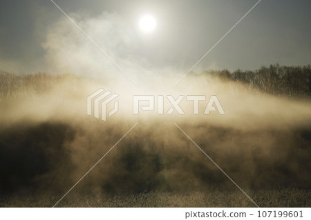 暴風雨在清晨的陽光下閃閃發光 107199601