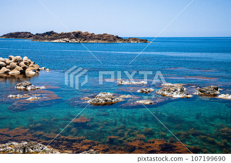 [Niigata Prefecture, Sado, Sotokaifu] Blue sea and natural seaweed, early summer Sado May June 107199690