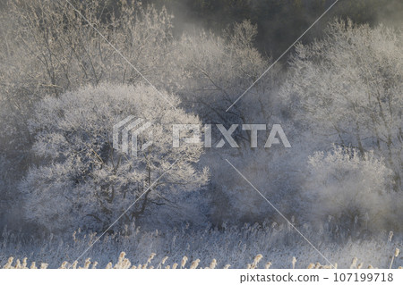 清晨霜凍與風暴 107199718