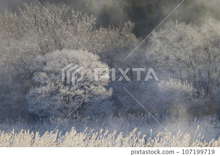 清晨霜凍與風暴 107199719