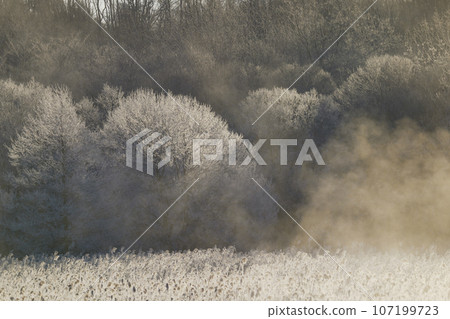 Early morning hoarfrost and air storm Early morning hoarfrost and air storm 107199723