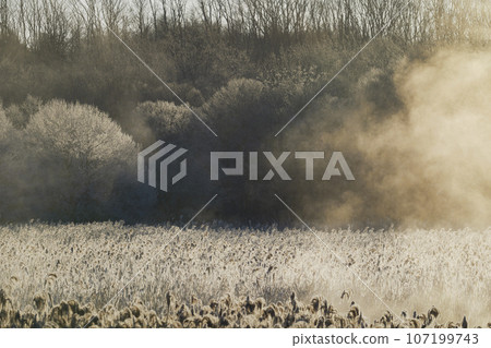 Early morning hoarfrost and air storm Early morning hoarfrost and air storm 107199743