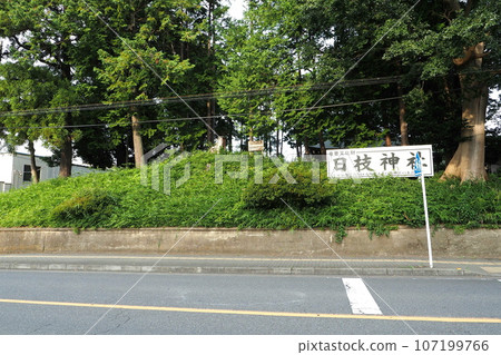 日枝神社之丘（千場日枝神社）[埼玉縣川越市] 107199766