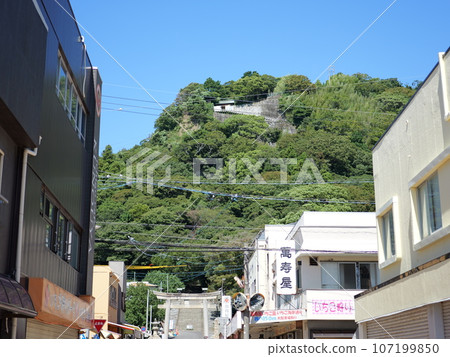 久能山東照宮的參道 久能山東照宮的參道 107199850