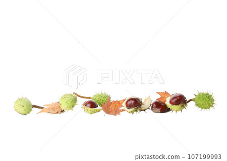 PNG, a chestnuts isolated on white background PNG, a chestnuts isolated on white background 107199993
