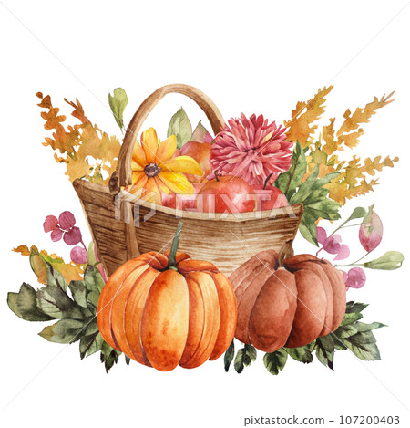 Pumpkins in a basket, hand drawn watercolor illustration Pumpkins in a basket, hand drawn watercolor illustration 107200403