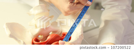 Doctor measures model of female pelvis with measuring tape close-up. 107200522