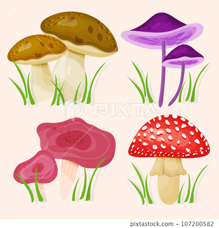 Set of autumn forest mushrooms in cartoon style isolated. Set of autumn forest mushrooms in cartoon style isolated. 107200582