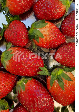 Red, Ripe Strawberry Fruits Red, Ripe Strawberry Fruits 107200587