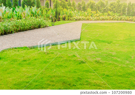 Garden landscape design with pathway intersecting bright green lawns and shrubs white sheet walkway in the garden. 107200980