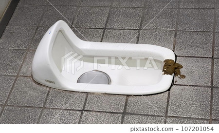 Japanese-style toilet and feces protruding Japanese-style toilet and feces protruding 107201054