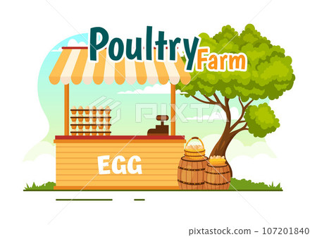 Poultry Farm Vector Illustration with Chickens, Roosters, Straw, Cage and Egg on Scenery of Green Field Background in Flat Cartoon Design Poultry Farm Vector Illustration with Chickens, Roosters, Straw, Cage and Egg on Scenery of Green Field Background in Flat Cartoon Design 107201840