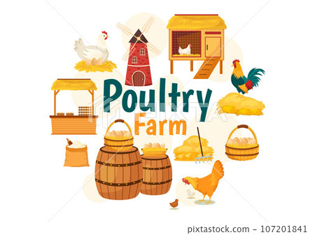 Poultry Farm Vector Illustration with Chickens, Roosters, Straw, Cage and Egg on Scenery of Green Field Background in Flat Cartoon Design Poultry Farm Vector Illustration with Chickens, Roosters, Straw, Cage and Egg on Scenery of Green Field Background in Flat Cartoon Design 107201841