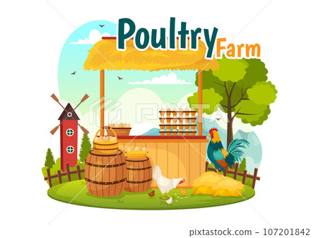 Poultry Farm Vector Illustration with Chickens, Roosters, Straw, Cage and Egg on Scenery of Green Field Background in Flat Cartoon Design Poultry Farm Vector Illustration with Chickens, Roosters, Straw, Cage and Egg on Scenery of Green Field Background in Flat Cartoon Design 107201842