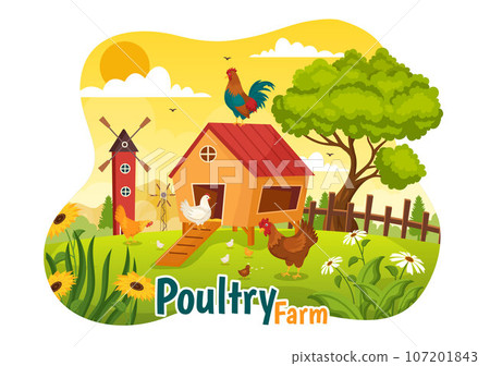 Poultry Farm Vector Illustration with Chickens, Roosters, Straw, Cage and Egg on Scenery of Green Field Background in Flat Cartoon Design Poultry Farm Vector Illustration with Chickens, Roosters, Straw, Cage and Egg on Scenery of Green Field Background in Flat Cartoon Design 107201843
