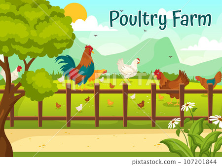 Poultry Farm Vector Illustration with Chickens, Roosters, Straw, Cage and Egg on Scenery of Green Field Background in Flat Cartoon Design 107201844