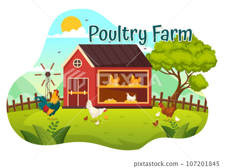 Poultry Farm Vector Illustration with Chickens, Roosters, Straw, Cage and Egg on Scenery of Green Field Background in Flat Cartoon Design Poultry Farm Vector Illustration with Chickens, Roosters, Straw, Cage and Egg on Scenery of Green Field Background in Flat Cartoon Design 107201845