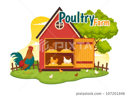 Poultry Farm Vector Illustration with Chickens, Roosters, Straw, Cage and Egg on Scenery of Green Field Background in Flat Cartoon Design Poultry Farm Vector Illustration with Chickens, Roosters, Straw, Cage and Egg on Scenery of Green Field Background in Flat Cartoon Design 107201846