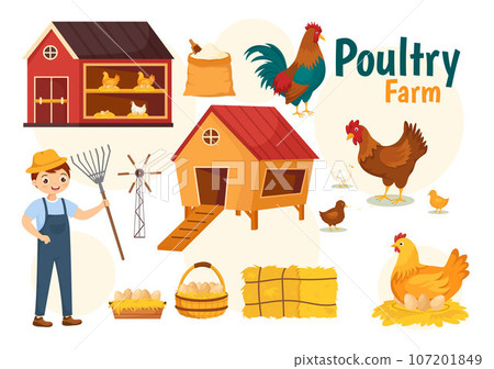Poultry Farm Vector Illustration with Chickens, Roosters, Straw, Cage and Egg on Scenery of Green Field Background in Flat Cartoon Design Poultry Farm Vector Illustration with Chickens, Roosters, Straw, Cage and Egg on Scenery of Green Field Background in Flat Cartoon Design 107201849