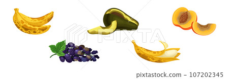 Rotten Fruit with Spoiled Bad Unhealthy Food Vector Set 107202345