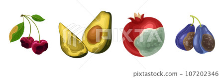 Rotten Fruit with Spoiled Bad Unhealthy Food Vector Set 107202346
