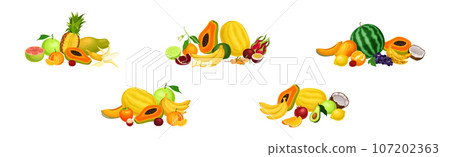 Tropical Fruit Composition with Summer Juicy Food Vector Set 107202363