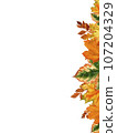A border of leaves on a white background. A pattern of multicolored autumn leaves. Illustrations for textiles, booklets, banners, paper packaging, Mother's Day, Thanksgiving, Halloween 107204329