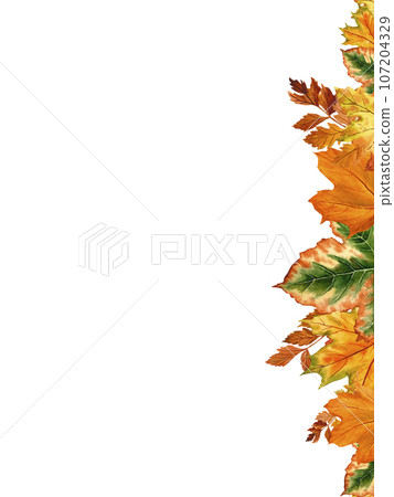 A border of leaves on a white background. A pattern of multicolored autumn leaves. Illustrations for textiles, booklets, banners, paper packaging, Mother's Day, Thanksgiving, Halloween A border of leaves on a white background. A pattern of multicolored autumn leaves. Illustrations for textiles, booklets, banners, paper packaging, Mother's Day, Thanksgiving, Halloween 107204329